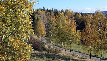 Blick von der Pension
